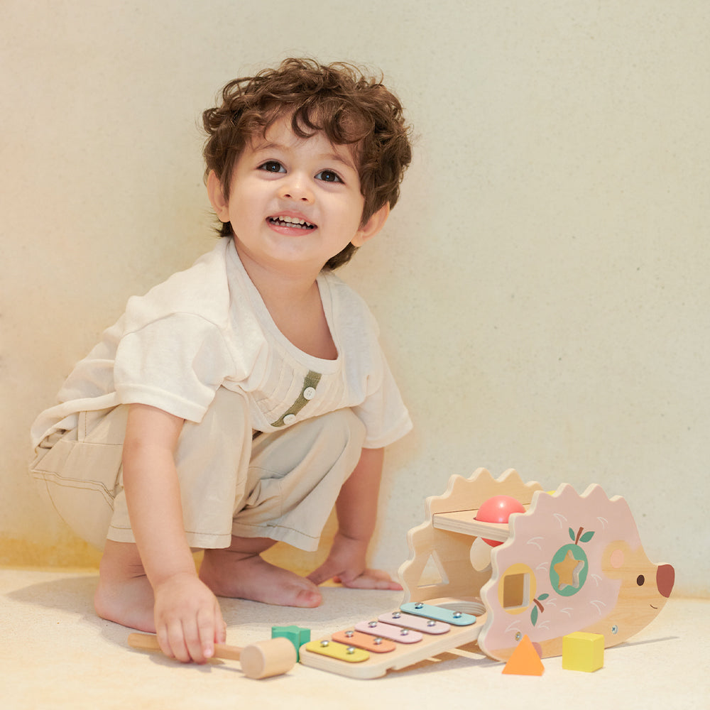 Erizo para golpear y aprender