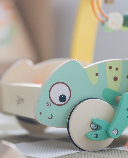 Caminador de Iguana con Bloques