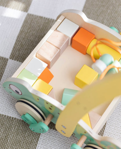 Caminador de Iguana con Bloques