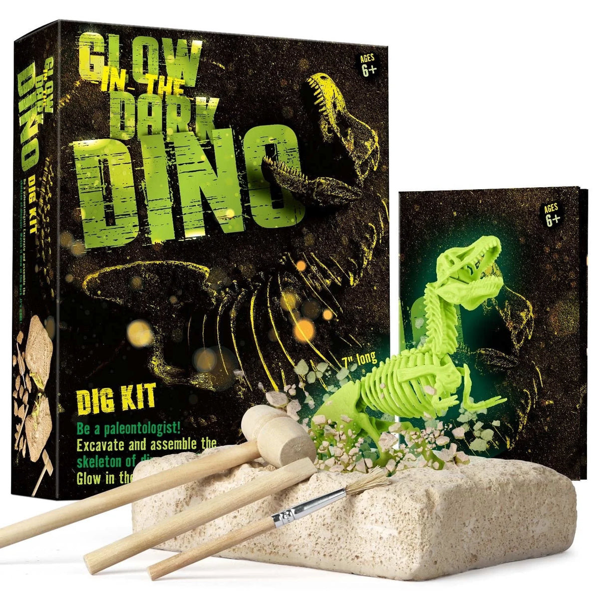 Kit de Excavación T-Rex que Brilla en la Oscuridad