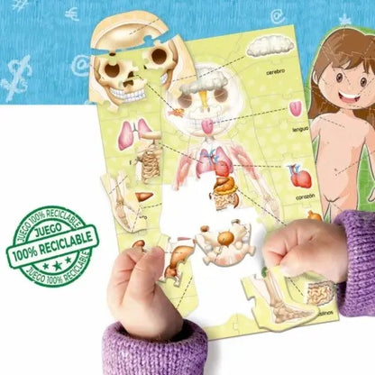 Puzzle Cuerpo Humano