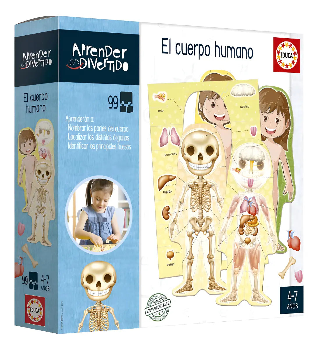 Puzzle Cuerpo Humano